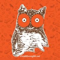 Avatar người dùng Lê Minh C